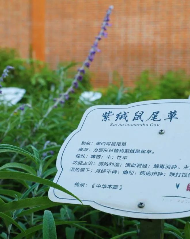 1699245466229875.jpg 微信圖片_20231106123723.jpg